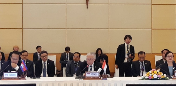 Delegasi Indonesia dipimpin oleh Menteri Perdagangan RI, Enggartiasto Lukita. Pertemuan ini merupakan komitmen para menteri dalam penyelesaian perundingan RCEP tahun ini sebagaimana mandat kepala negara/pemerintahan RCEP pada November tahun lalu.