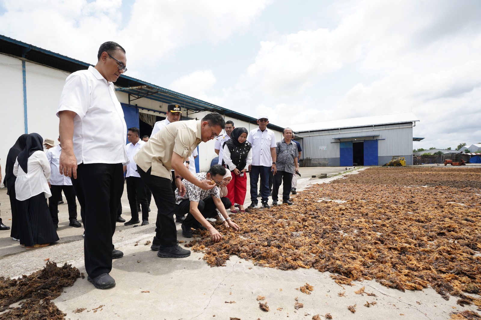 Lepas Ekspor Rumput Laut Senilai Rp1,7 Miliar dari Gudang SRG, Kemendag Fasilitasi Akses Pasar Internasional